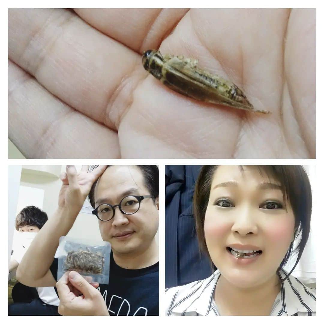 五十嵐サキさんのインスタグラム写真 - (五十嵐サキInstagram)「昆虫食🦗  #人生初 の #昆虫食 #松浦真也 くんから #コオロギ 頂きました #味 は、、 #一口目  #海老 の味 #二口目 #ピスタチオ に似た味でした #吉本新喜劇 #よしもと祇園花月 #五十嵐サキ」7月23日 17時53分 - saki_igarashi