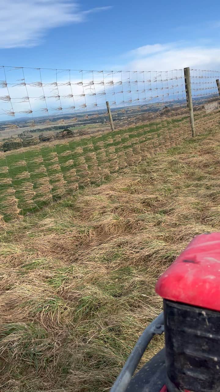 トンプソンルークのインスタグラム：「A little bit windy!!ちょっと風ですね #farm #nzfarming #wind」