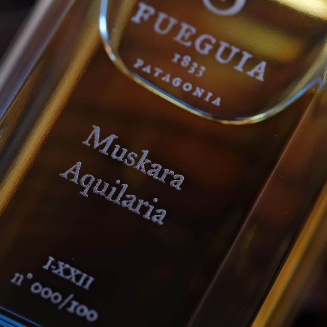 Fueguia 1833のインスタグラム：「Muskara Aquilaria is a unique blend of Pure and Natural Oud from Assam, Laos, Burma and Prachin. Crafted in a small batch of 100 bottles worldwide. Exclusively sold at our galleries of Milano and New York.  #Oud #agarwood #fueguia #fueguia1833 #aquilariamalaccensis#aquilariacrassna#aquilariasinensis#aquilaria #muskaraaquilaria」