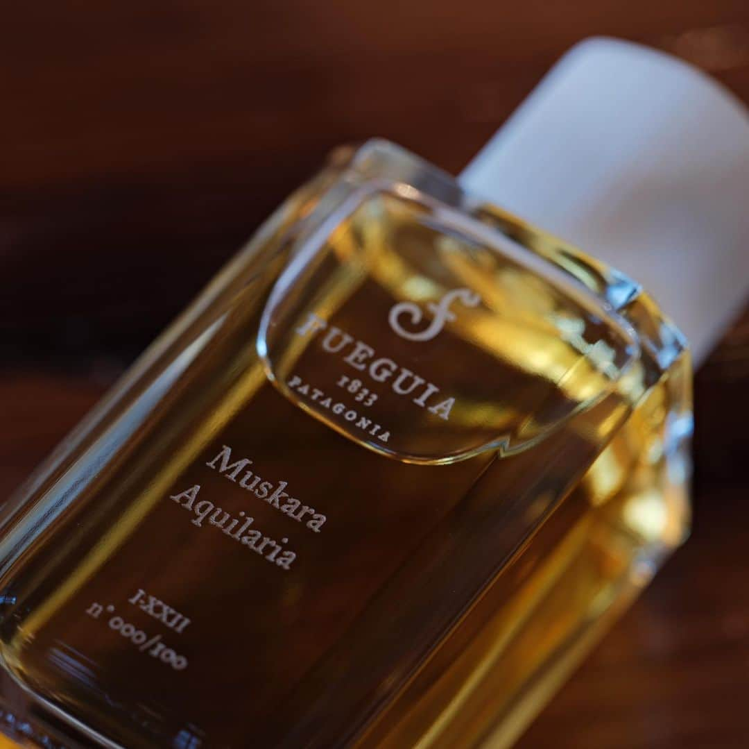 Fueguia 1833さんのインスタグラム写真 - (Fueguia 1833Instagram)「Muskara Aquilaria is a unique blend of Pure and Natural Oud from Assam, Laos, Burma and Prachin. Crafted in a small batch of 100 bottles worldwide. Exclusively sold at our galleries of Milano and New York.  #Oud #agarwood #fueguia #fueguia1833 #aquilariamalaccensis#aquilariacrassna#aquilariasinensis#aquilaria #muskaraaquilaria」7月23日 18時35分 - fueguia1833