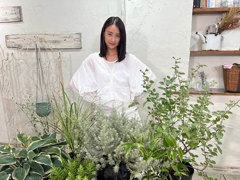 山本美月（スタッフ）さんのインスタグラム写真 - (山本美月（スタッフ）Instagram)「明日7/24(日)朝8:30からは趣味の園芸が放送されます🌱  今回のテーマは「葉っぱの個性を見抜く！」 緑の空間作りのノウハウを教えていただきました。  皆さまぜひご覧ください！  #山本美月 #山本美月スタッフ #趣味の園芸」7月23日 19時51分 - mizuki_staff