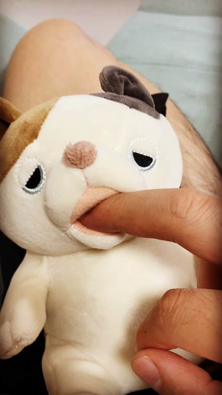 326のインスタグラム：「癒しの瞬間  俺…疲れてんのかな」