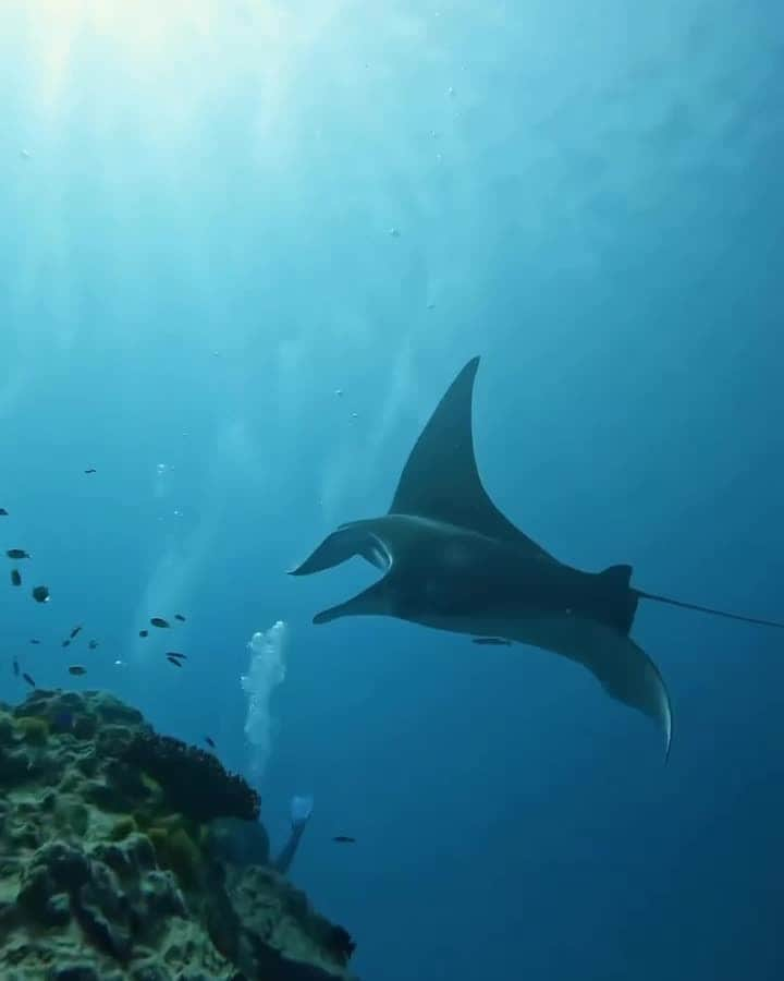 Australiaのインスタグラム