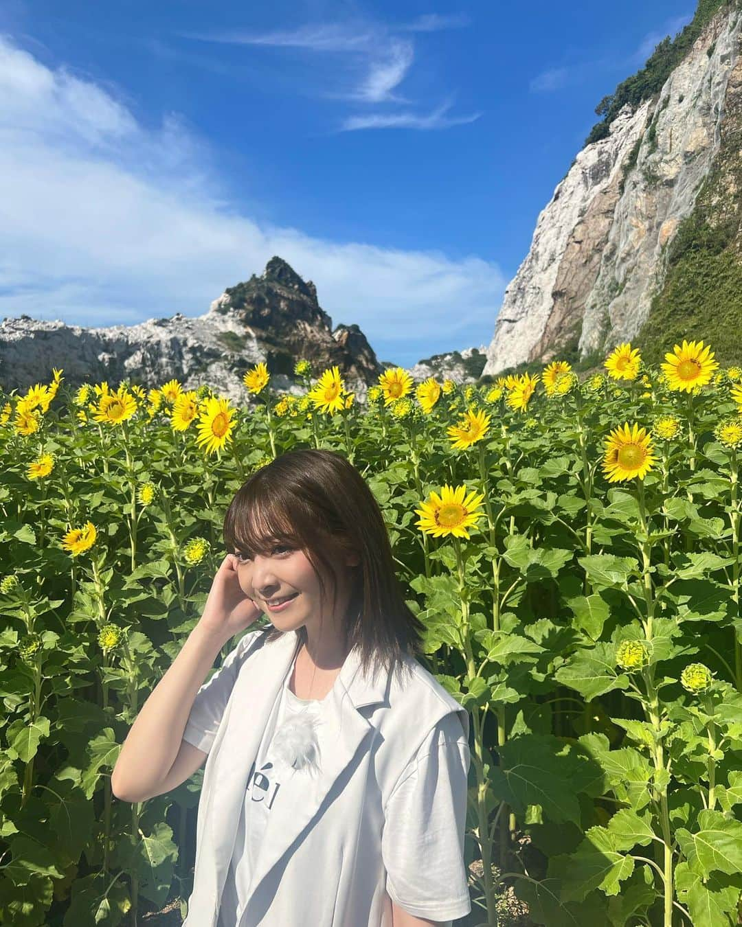 本谷紗己のインスタグラム：「ロケの間に撮ったオフショットです🌻 夏ですねぇ🍉  やのぱんさんが撮ってくださいました📸 和歌山だからこそ撮れる風景🌻⛰  #insta_wakayama #wakayama #さぴ和歌山　#和歌山 #なんて素敵な和歌山なんでしょう #白崎海洋公園  #白崎海岸 #🌻　#ひまわり　 #由良町 #わくわく編集部」