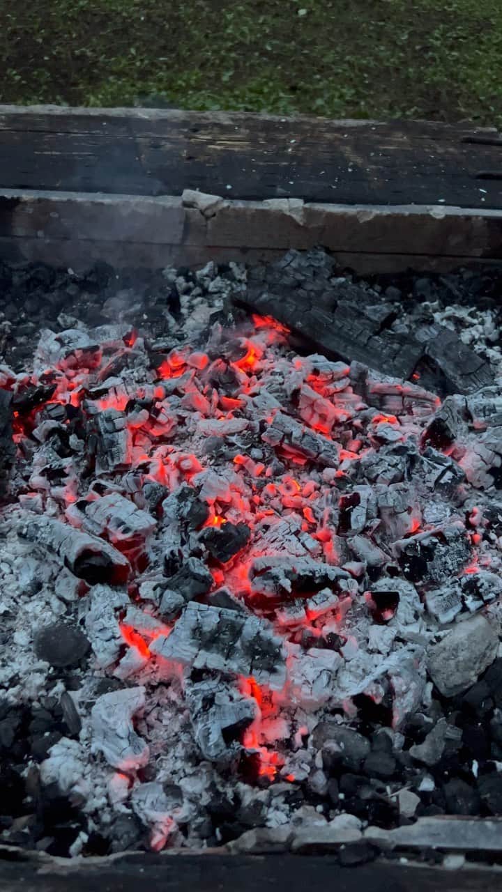 亀田誠治のインスタグラム：「🐢「手がアチッ🔥」」