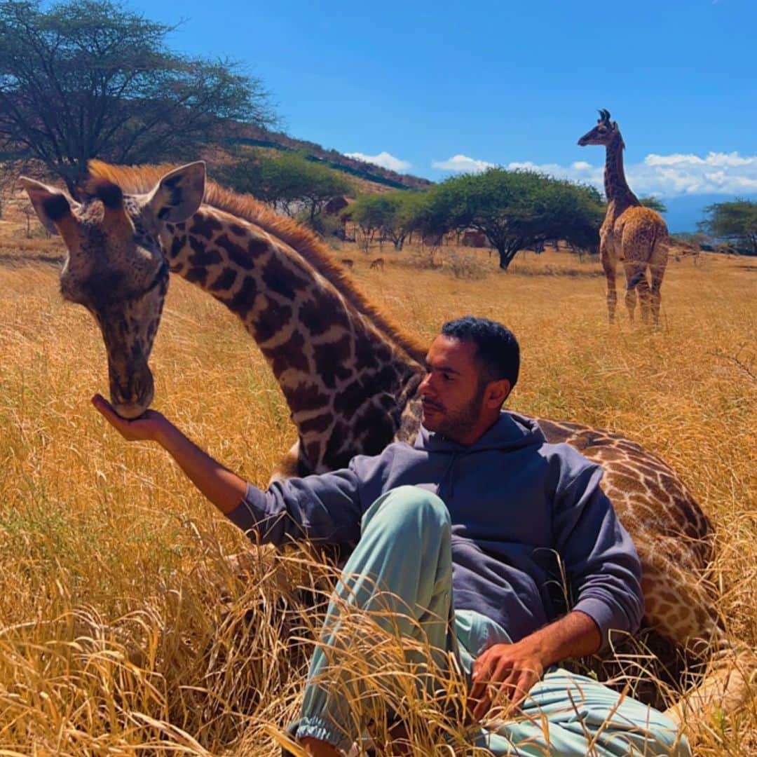 سعودのインスタグラム：「With Love 💛  #giraffe  #servalwildlife  #animals  #tanzania」