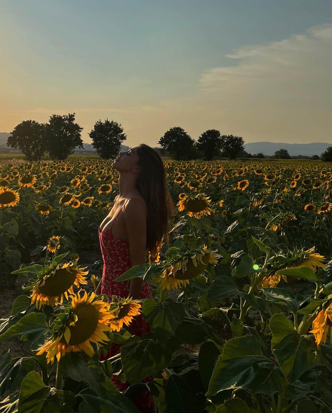 ベレン・ロドリゲスのインスタグラム：「GIRASOLES 🌻」