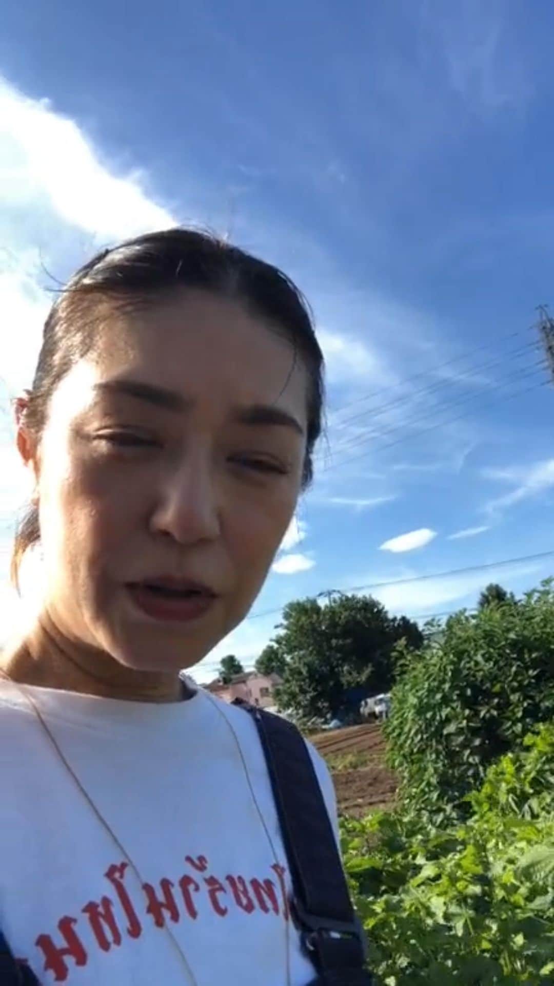 加藤紀子のインスタグラム：「アーカイブをうっかり消してしまい…  これ、残せるかな？」
