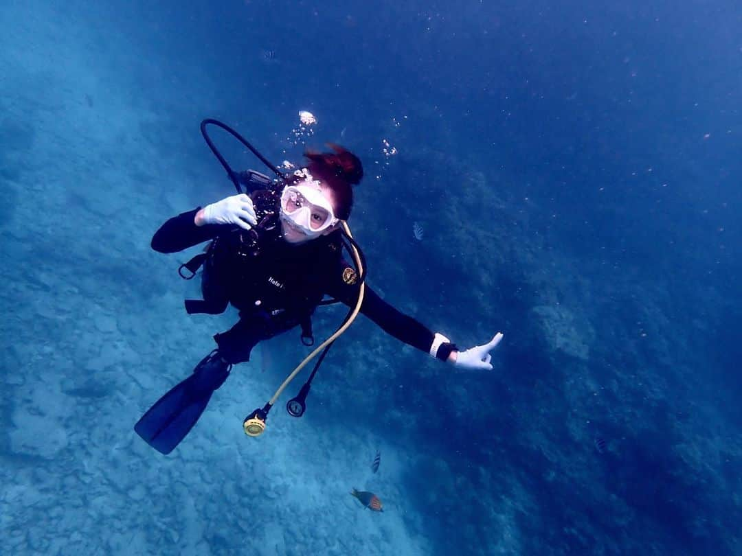 山崎みどりのインスタグラム