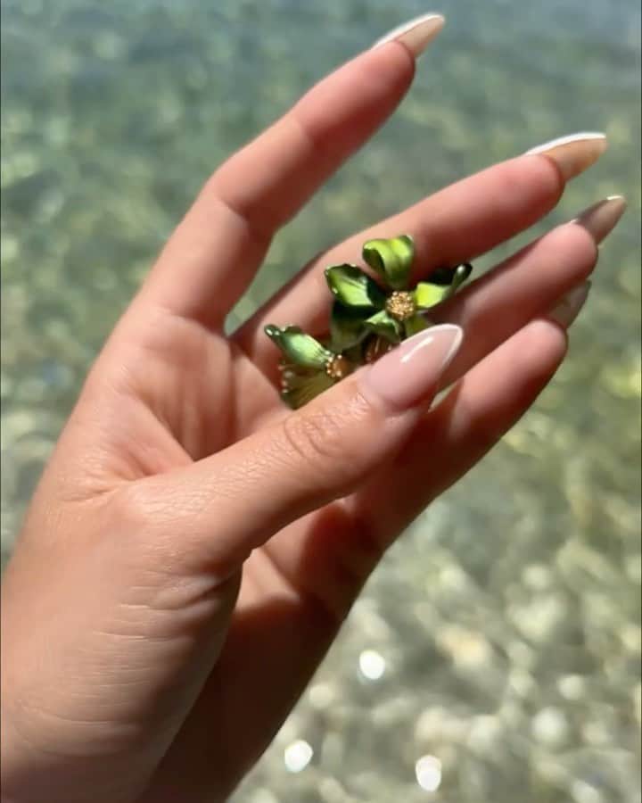 セシルボッカラのインスタグラム