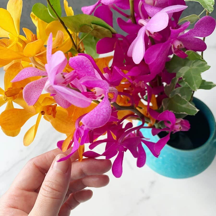 森絵里香のインスタグラム：「. 色鮮やかな花を眺めながら月曜がスタート  おはようございます 今朝は早くから陽射しが強いですね 熱中症には気をつけて、今週も心軽やかに過ごしましょ  . #花のある暮らし  #ターコイズブルー の #花器 にピッタリのお花 #ありがとう」