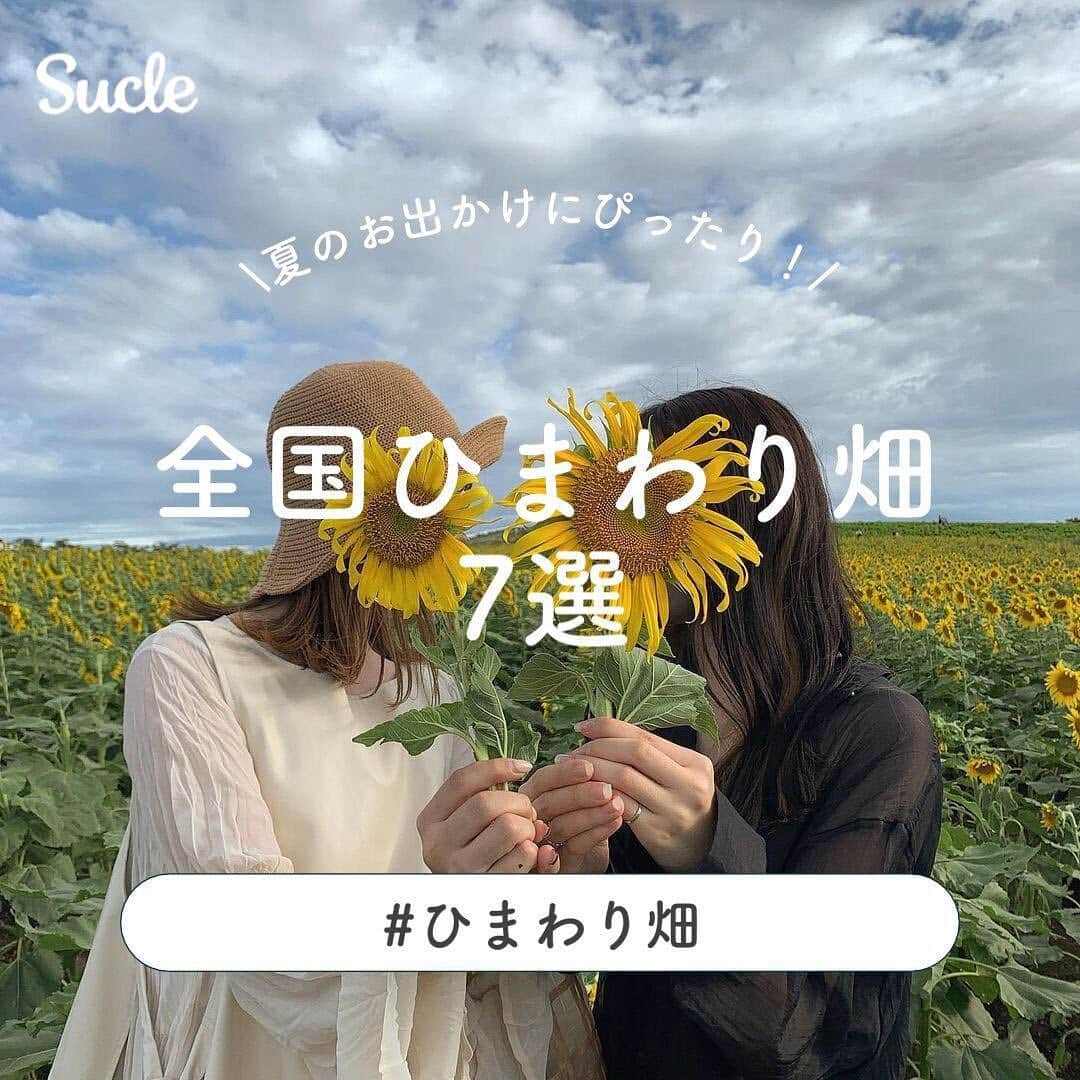 SUCLEのインスタグラム