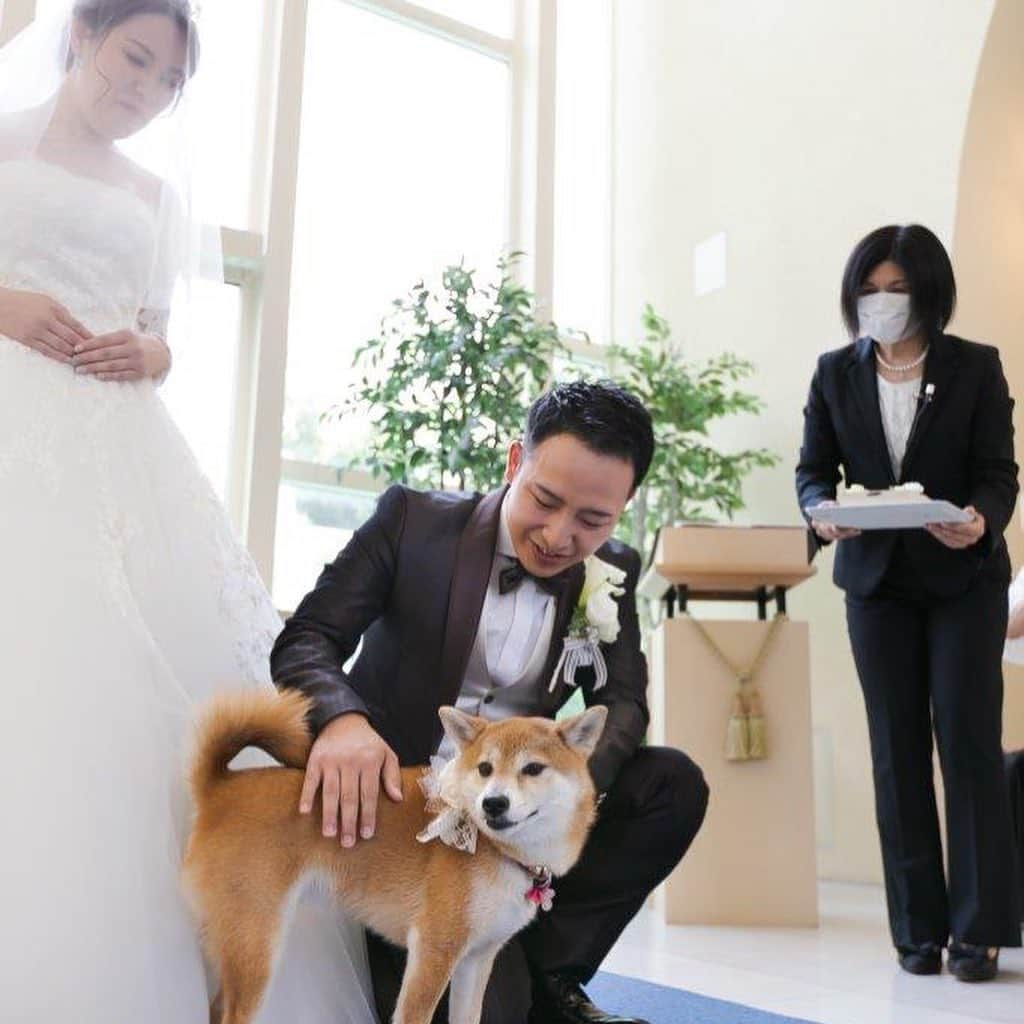 アンジェローブ 名古屋 結婚式場さんのインスタグラム写真 - (アンジェローブ 名古屋 結婚式場Instagram)「. @weddingisland_angerobe をフォローして. 『 #アンジェローブ 』のタグで. お写真を投稿してくださいね＊*. . ——————————. .  愛犬と一緒のウエディング🐶 ワンワン！ 特別な日に一緒にいられて嬉しいな❤︎ . ——————————. .  -アンジェローブの公式HPをcheck＊* http://www.angerobe.co.jp/sp/ -ブライダルフェアの予約はコチラから♪ http://www.angerobe.co.jp/sp/fair/ . ——————————. . ぜひ『 #アンジェローブ 』のハッシュタグで. ウェディングの写真を投稿してくださいね＊*. ステキなお写真はこちらのアカウントで. リグラムさせていただきます♪. . また『#アンジェローブ』のハッシュタグで. 投稿していただいた#アンジェ嫁 様は. 必ずフォローさせて頂きます💕  プレ花嫁さんも卒花嫁さんも. ずーっと繋がっていきましょう💕 ——————————. . #新郎新婦 #結婚式写真 #ワンちゃんと結婚式  #wedding  #weddingdress  #笑顔 #名古屋結婚式場 #プレ花嫁  #ナチュラルウエディング #結婚式準備 #フォト婚 #東海プレ花嫁 #名古屋プレ花嫁 #リゾート婚 #名古屋結婚式場リングドッグ #婚約 #プロポーズ #港区 #金城ふ頭 #写真結婚式 #海外挙式 #犬と結婚式 #結婚式フォト #リングドッグ #自由な結婚式 #犬 #いぬすたぐらむ」7月25日 21時32分 - weddingisland_angerobe