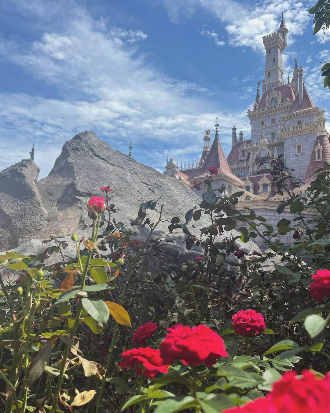 宮内理沙のインスタグラム：「🏰🌹 . . この前ディズニーに行きたいという投稿してから数週間、予想より早く行けました🏃‍♀️☀️ どこを切り取っても絵になるね📸 . 自宅が大好き過ぎて引き篭もりがちだったので最近色々な友達が外に出してくれて嬉しい🥲✨  #tdl #🌹」