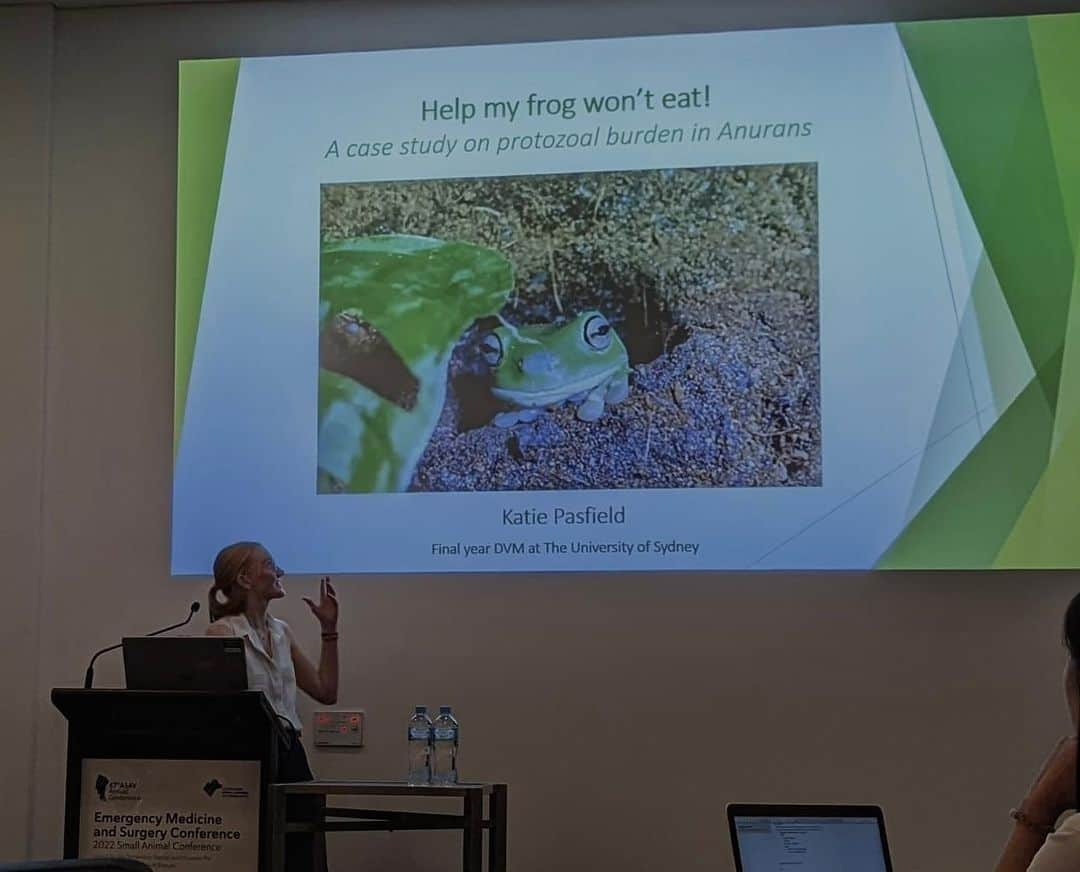 ケイティ・パスフィールドさんのインスタグラム写真 - (ケイティ・パスフィールドInstagram)「Today I got lucky enough to talk to a room full of unusual pet vets about frogs ~ could life get any better? . . .  Massive thank you to UPAV for awarding me the Anne Martin Memorial Scholarship ❤️」7月25日 22時19分 - katiepasfield