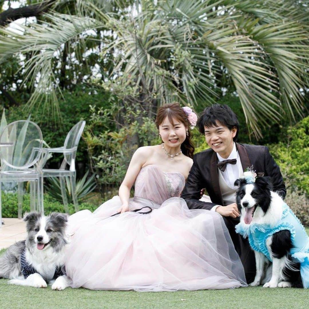 アンジェローブ 名古屋 結婚式場のインスタグラム：「. @weddingisland_angerobe をフォローして. 『 #アンジェローブ 』のタグで. お写真を投稿してくださいね＊*. . ——————————. .  愛犬と一緒のウエディング🐶 ワンワン！ 特別な日に一緒にいられて嬉しいな❤︎ . ——————————. .  -アンジェローブの公式HPをcheck＊* http://www.angerobe.co.jp/sp/ -ブライダルフェアの予約はコチラから♪ http://www.angerobe.co.jp/sp/fair/ . ——————————. . ぜひ『 #アンジェローブ 』のハッシュタグで. ウェディングの写真を投稿してくださいね＊*. ステキなお写真はこちらのアカウントで. リグラムさせていただきます♪. . また『#アンジェローブ』のハッシュタグで. 投稿していただいた#アンジェ嫁 様は. 必ずフォローさせて頂きます💕  プレ花嫁さんも卒花嫁さんも. ずーっと繋がっていきましょう💕 ——————————. . #新郎新婦 #結婚式写真 #ワンちゃんと結婚式  #wedding  #weddingdress  #笑顔 #名古屋結婚式場 #プレ花嫁  #ナチュラルウエディング #結婚式準備 #フォト婚 #東海プレ花嫁 #名古屋プレ花嫁 #リゾート婚 #名古屋結婚式場リングドッグ #婚約 #プロポーズ #港区 #金城ふ頭 #写真結婚式 #海外挙式 #犬と結婚式 #結婚式フォト #リングドッグ #自由な結婚式 #犬 #いぬすたぐらむ」