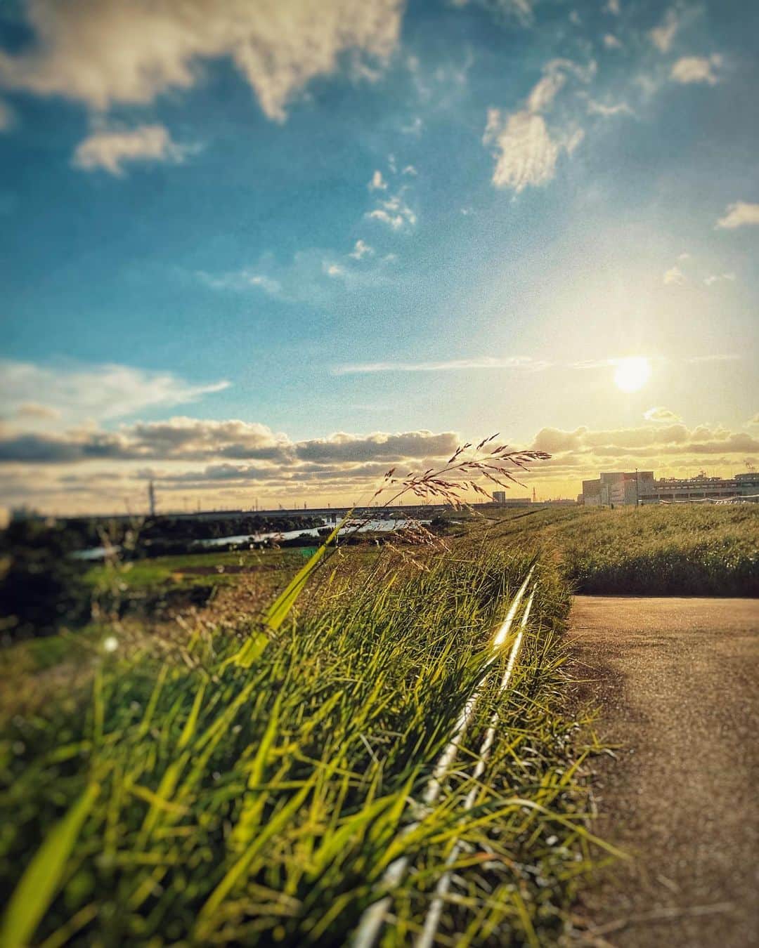 のインスタグラム