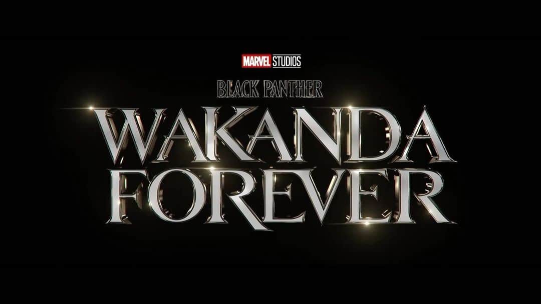 マット・マクゴリーのインスタグラム：「Damn 😳 #WakandaForever」