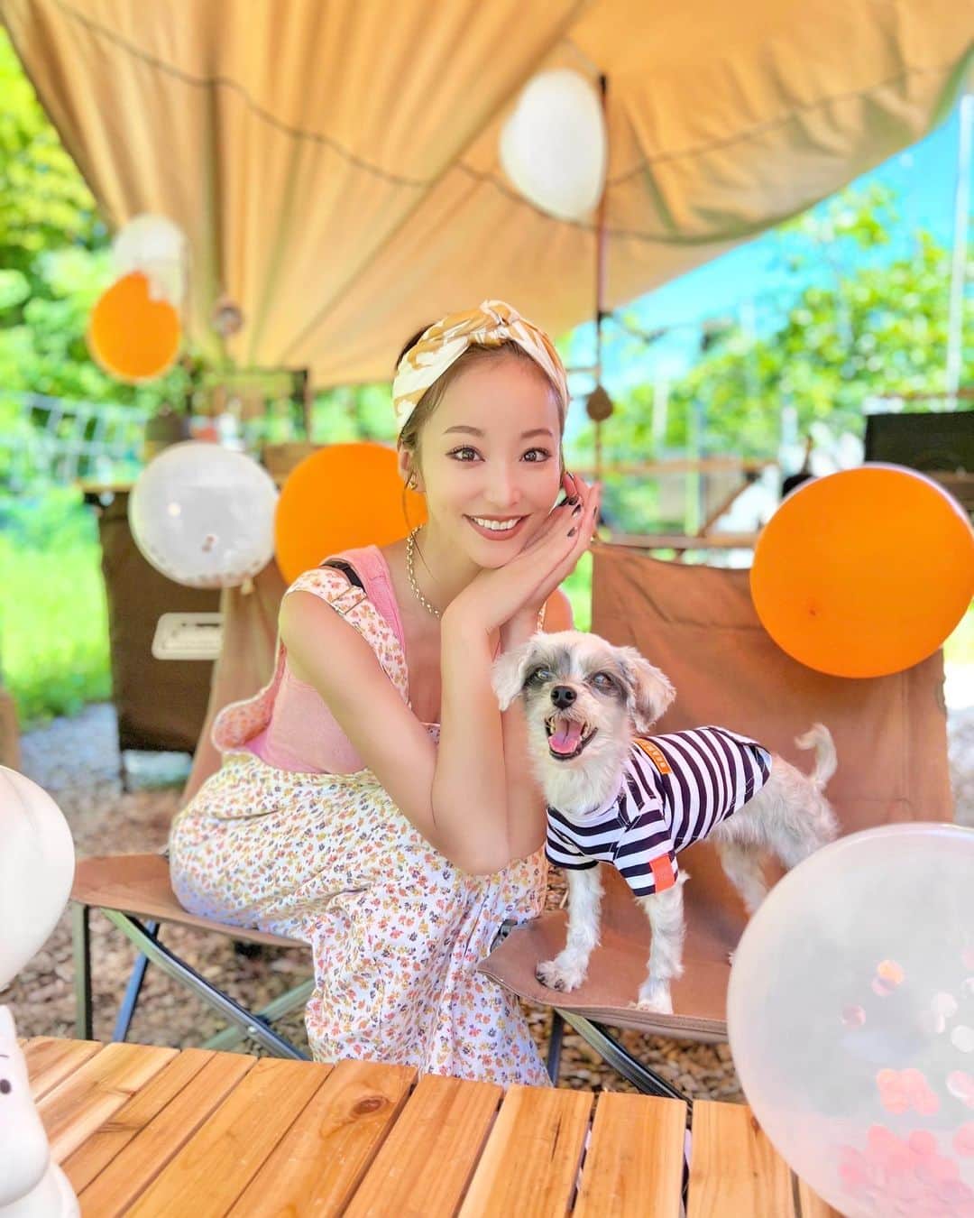 のインスタグラム：「⁡ ⁡ ⁡ ᴋᴏᴛꜱᴜʙᴜ ᴄᴏɴɢʀᴀᴛᴜʟᴀᴛɪᴏɴꜱ ᴏɴ ʏᴏᴜʀ 10ꜱᴛ ʙɪʀᴛʜᴅᴀʏ♥️ ⁡ ⁡ ⁡ ⁡ ⁡ ⁡ よくぞここまで回復してくれたょぉ😭‼︎ 6月20日の投稿で書かせてもらってたのですが 小粒さんほぼ完全復活しました😭✨ そんな小粒さんのお誕生日は 皆でまた行きたいなと夢見ていたキャンプへ♥️ 本当に生きてくれたお陰ょ🥲♥️ ⁡ ⁡ 今回、夏のキャンプは初めてで🏕 感じるものが全て新鮮！ 夏って皆ゴロゴロしてて楽しそうだった‼︎ (激暑で、毎朝08:30には起床) 皆でプール入ったり、夕方濡れた身体で涼んだり 手作りご飯でお祝いしたり 滅茶苦茶楽しかったぁー♥️ ⁡ ⁡ ⁡ 10歳まだまだ先まで一緒にいたい 永遠と一緒にいたい 絶対人生で特別な出会いの小粒 幸せいっぱいで過ごそうね‼︎ ⁡ ⁡ あっちこっち連れて行くから これからもずっと一緒にいれますよぅに...👼♥️ ⁡ ⁡ ⁡ ⁡  ＿＿＿＿＿＿＿＿＿＿＿＿＿＿＿＿＿＿＿＿  ⁡ 【ドッグフリーサイト巡り】 ① フォレスターズビレッジコビット(山梨) ②ワンコが主役(栃木) ③ウエストリバーオートキャンプ場(山梨) ④尚仁沢アウトドアフィールド(栃木) ⑤つくば犬達の森ドッグランキャンプ場(茨城) ⑥camp and cabins(栃木) ⑦ 富津金谷オートキャンプヒルズ(千葉) ⑧小田急山中湖フォレストコテージ(山梨) ⑨ Out Tail Dog Camp TATEYAMA(千葉) ︎＿＿＿＿＿＿＿＿＿＿＿＿＿＿＿＿＿＿＿＿  ⁡ ⁡」