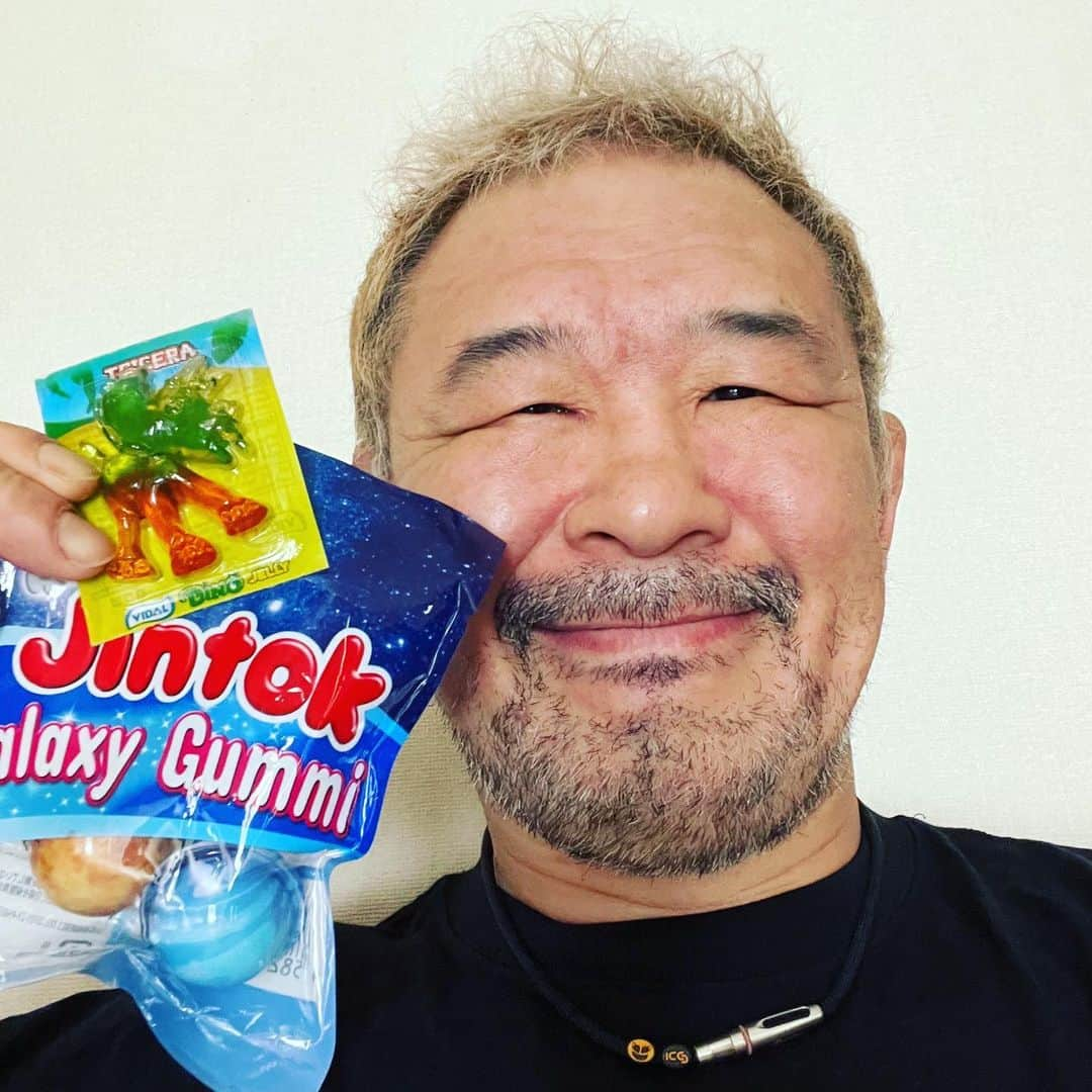 saku39shopさんのインスタグラム写真 - (saku39shopInstagram)「. 【Dinosaur gummies】 . 恐竜グミ食べました。 おいしかったです。 また絶対に買います！ 八重洲地下街・ワールド／新たなる支配者 . #桜庭和志 #恐竜グミ #杉浦軍」7月26日 13時29分 - saku39ks