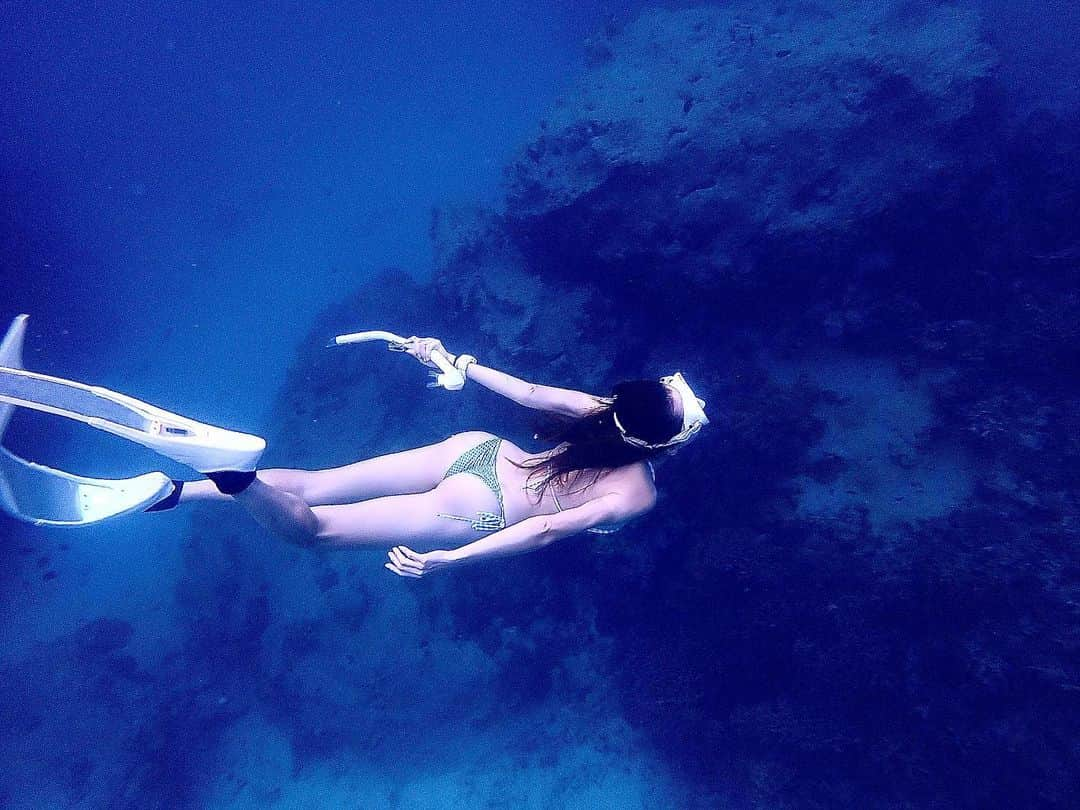 山崎みどりさんのインスタグラム写真 - (山崎みどりInstagram)「SESOKO ISLAND🏝  #skindiving 🤿🧜🏻‍♀️🤍  Brazilian Bikini.. @sobiquinismodapraia   Long fin.. @leaderfins   Diving mask.. @cressi1946  @cressi_japan   Dive computer.. @tusadiving  @tusa.japan   Photo by @divenuts.japan  ──────────────────────────  @leaderfins  #longfin #ロングフィン#fin #瀬底島  #スキンダイビング#スキンダイブ #longfin  #マーメイド#sesoko #sesokoisland  #leaderfins #okinawa #island #bikini #underwaterphotography #bikinigirl #skindiving #divermag #bestjapanpics #🧜‍♀️ #freediving #🍑🍑 #mermaid #freedive #ビキニ女子 #diving #diver #freedivers #swim #swimming」7月26日 20時19分 - midori_yamasaki_