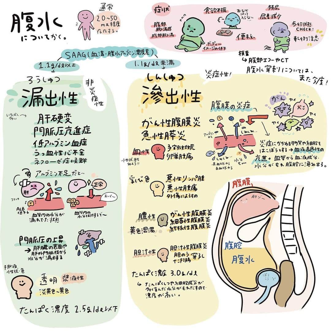 はやのインスタグラム