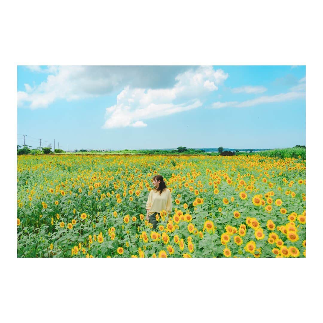 木村文乃 のインスタグラム