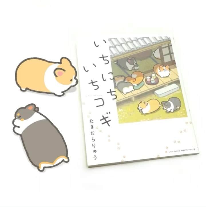 のインスタグラム：「The 1corgi book is a Japanese book, but I drew it so that people who don't understand the language can enjoy it. Amazon in Japan can ships overseas, so I hope many people will read it✨  Check out my profile link if you're interested🐾  With your support, I can continue to draw Corgi's art. Thank you✨✨✨  #コーギー #犬 #絵 #アート #イラスト #アニメ #アニメーション #corgi #corgidog #dog #illustration #art #anime #animation #animals #科基 #柯基犬 #코기 #グッズ #ブック #本 #book」