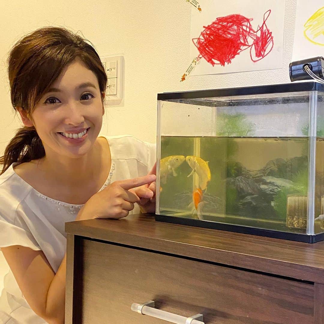 のインスタグラム：「こんにちは！ 小嶋です🥰✨  ひろしまリード 「アナウンサーリレーコラム」を担当しました❣️  今回のテーマは“夏と言えば”🎐 我が家にこの夏やって来た鯉について書いています😊🙌✨  大きな池がないと飼えないと思っていた鯉ですが…1匹500円〜購入できて、金魚用の水槽などでも飼育できるんです🫢💕💕コロナ禍でその人気は高まっているようですよ〜😍🐟  【ひろしまリード　小嶋沙耶香】で検索してみてください🙇‍♀️😊  #広島 #ホームテレビ #アナウンサー #小嶋沙耶香 #ひろしまリード #鯉」