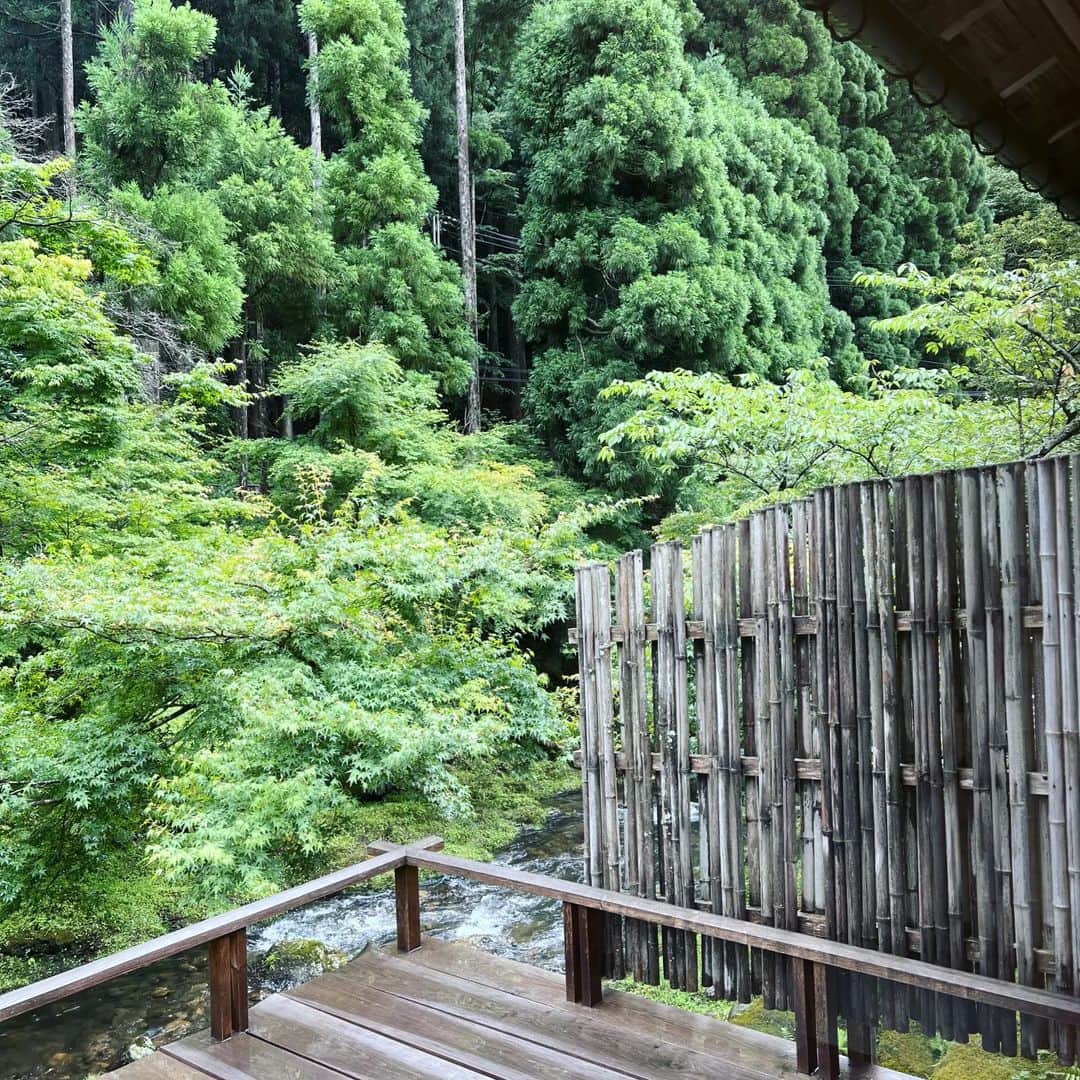 三島葉子さんのインスタグラム写真 - (三島葉子Instagram)「少し前の瑞々しい季節に念願の美山荘へ連れて行ってもらいました。美しい風景としつらえやうつわも美味しいお料理の一部分だと感じられた時間。 何気なく出して下さるお水がものすごく美味しかったり、最後におまけですと頂いた祇園祭りの由来の粟団子善哉がとてもカラダに沁みたり。。素晴らしいお食事処とは、そういうお店なんだろうなぁとひとつの尺度みたいなものを頂けた１日でした。  こちらには有名なグルメタクシーの岩間さん (@kyotogourmetaxi)に送迎して頂きました。道中の楽しく普段聞けないお話しなど(笑)たくさんありがとうございました🎶 なかなか予約が取れないと思いますが、京都巡りされるときは絶対お薦めの岩間さんです🚗　 　 そしていつもお世話になっているワサブローさんのお話しを若女将にさせて頂いたら「私たちの結婚式の司会はワサブローさんだったの！一緒にお歌も歌ったのよ」と盛り上がりました😊ワサブローさん、美山荘でもお世話になりました、ありがとうございます💠  #美山荘 #お料理はもちろん美味しい #大悲山のお水 #ワサブローさんありがとうございます #グルメタクシー岩間さん@kyotogourmetaxi #いつも勉強させて下さる師匠に感謝」7月27日 8時17分 - mishima_yoko