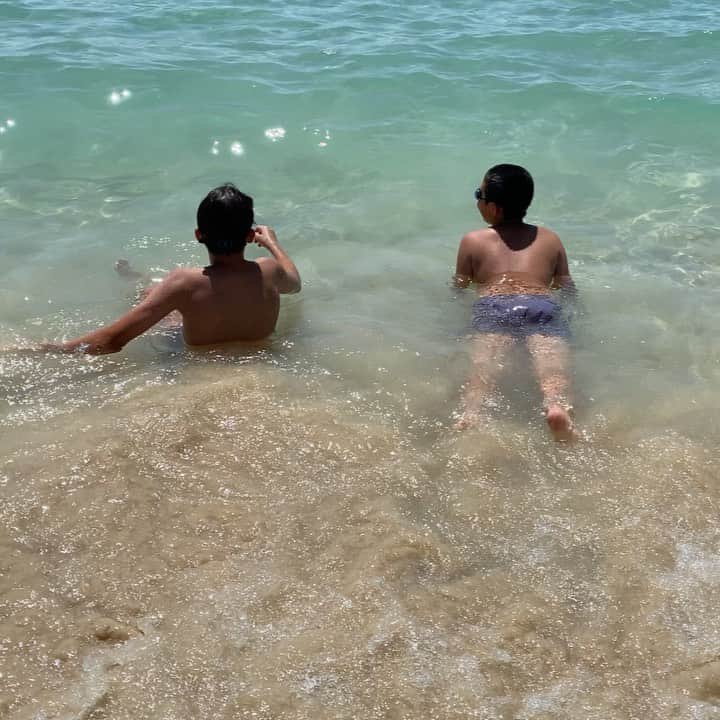 艾未未のインスタグラム