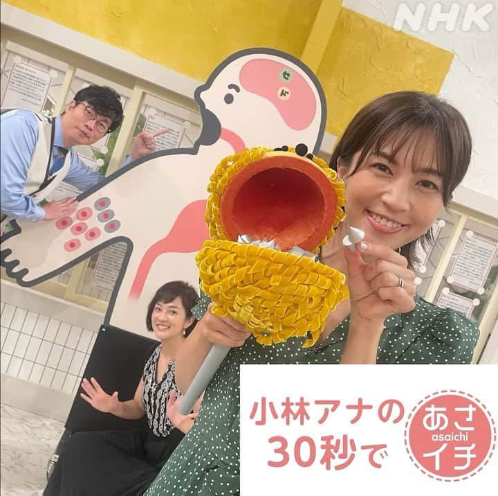 あさイチのインスタグラム