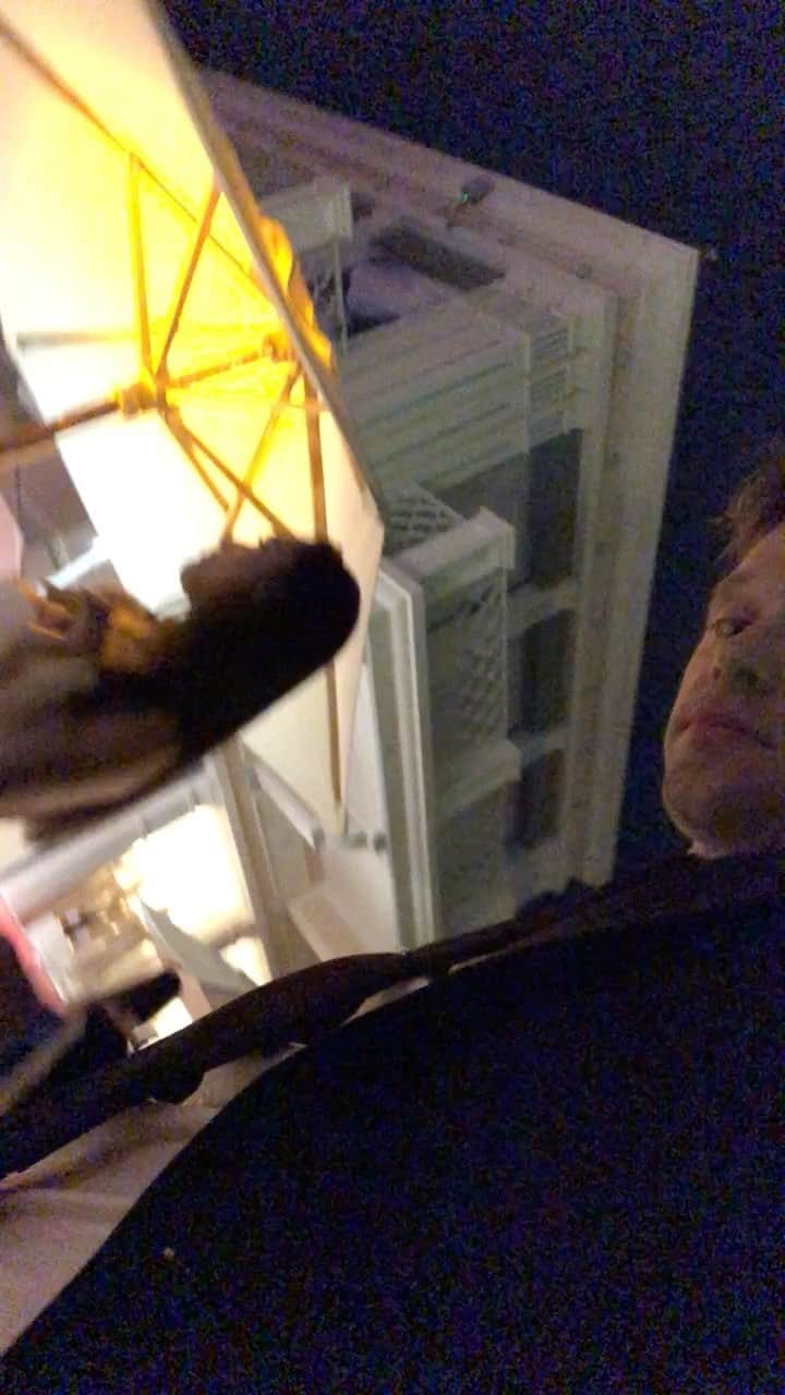 リンジー・モーガンのインスタグラム：「Patiently waiting for someone to turn this into TikTok/Reel audio」