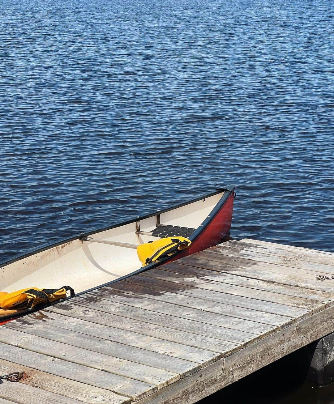 Reed Reederのインスタグラム：「Canoe date with my favorite person 🛶😘」