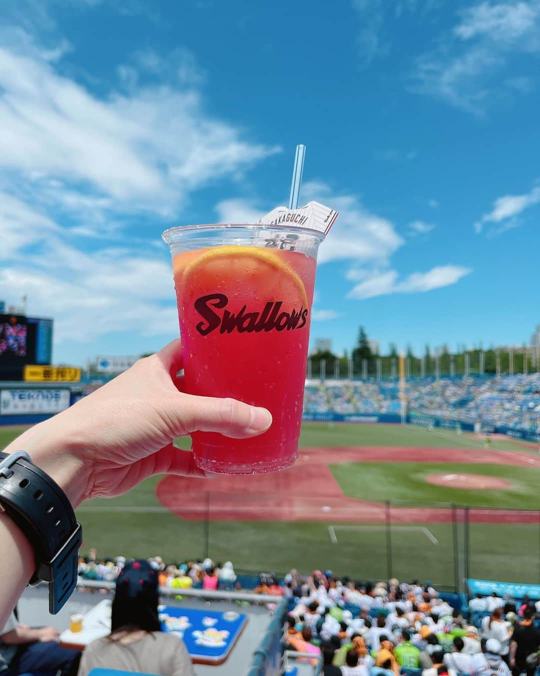 まゆみあずさのインスタグラム：「mamekoの夏遊び記録⚾️  もう、いつのー！って程、過去の写真ですが梅雨の合間の晴れた日という最高のコンデションと良い席で野球観戦。  この日の試合は最後まで目が離せないファンを楽しませてくれる展開でした🫶  野球を観ると、いつも自分の仕事に置き換えがち！😂← この日も野球を通して、仕事モチベを上げまくりました❤️‍🔥❤️‍🔥  #スポーツって素晴らしい」