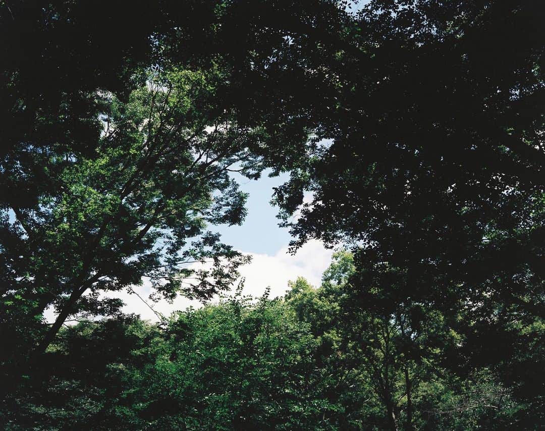 草彅剛さんのインスタグラム写真 - (草彅剛Instagram)「夏ですね。 涼しくしてね。 #マキナ67 #フィルムカメラ」7月28日 10時50分 - tsuyoshikusanagi_official