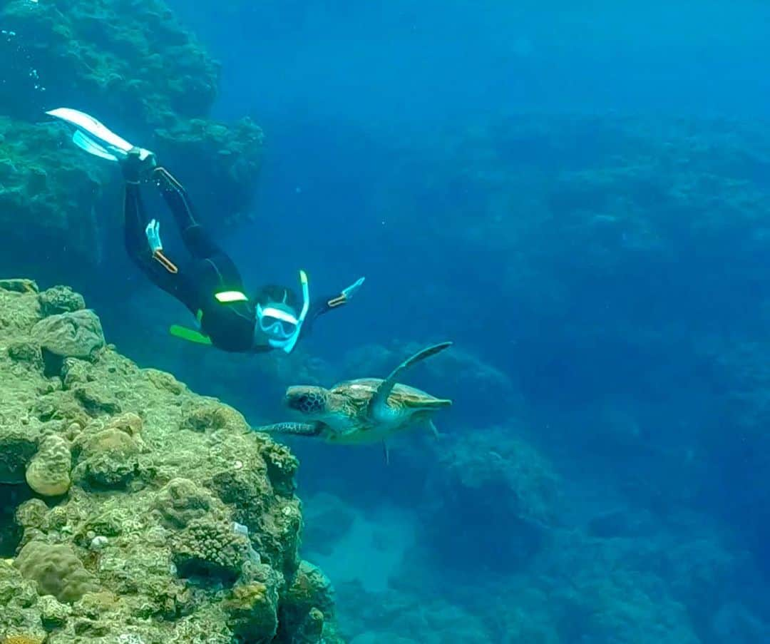 伊藤歩さんのインスタグラム写真 - (伊藤歩Instagram)「Love free diving 🐳🏝🐢  いつかの素潜り👙亀さんと遭遇✨楽しかったなぁ  #lovenature #lovenaturesbeauty #blueocean #turtle #loveocean #freediving #freespirit #loveyourself」7月28日 12時58分 - ayumi__ito