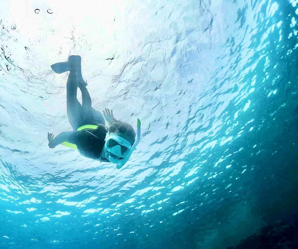 伊藤歩のインスタグラム：「Love free diving 🐳🏝🐢  いつかの素潜り👙亀さんと遭遇✨楽しかったなぁ  #lovenature #lovenaturesbeauty #blueocean #turtle #loveocean #freediving #freespirit #loveyourself」