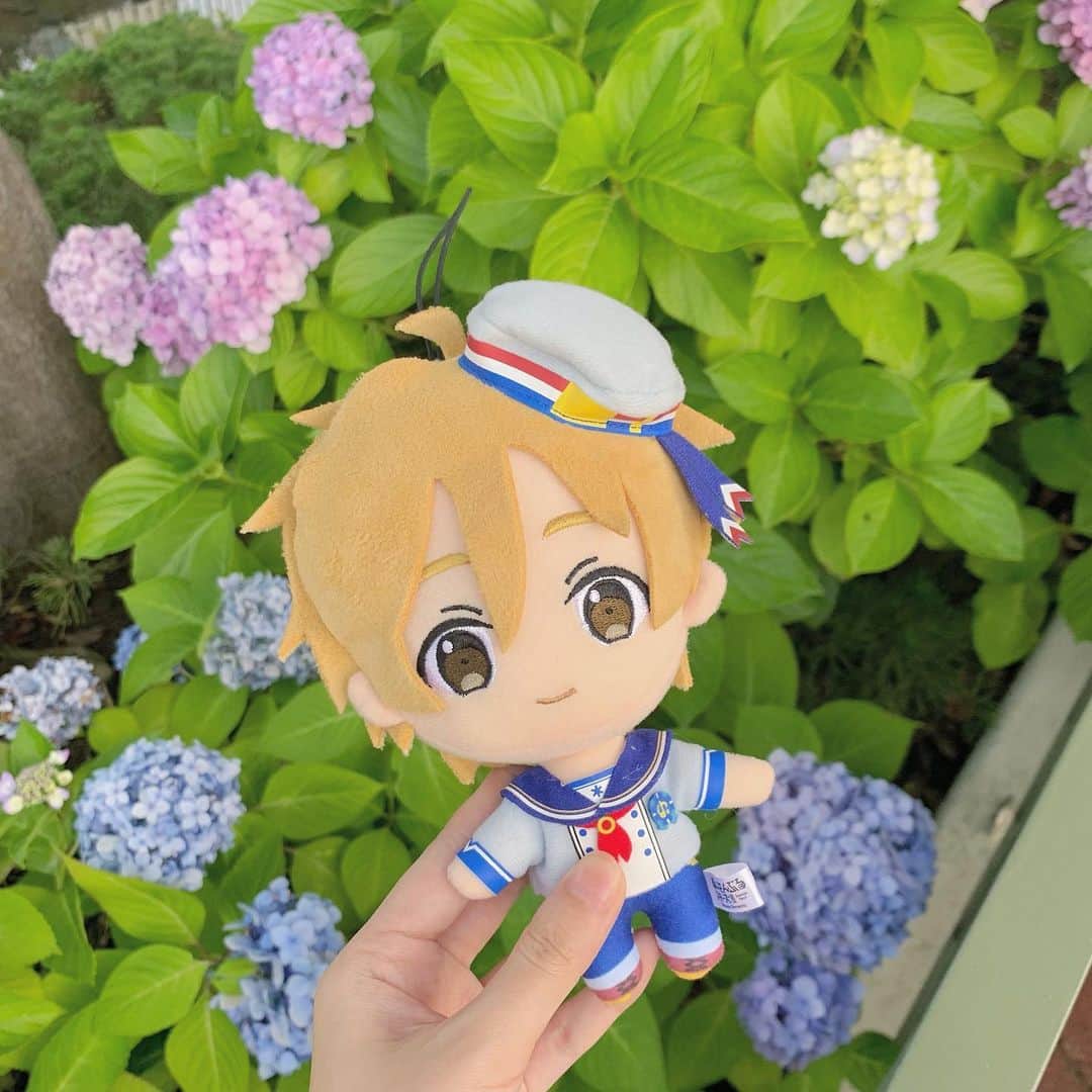 のインスタグラム：「🐰*  流石に梅雨はもう明けたかな〜☔️  今年も気圧との戦いの日々お疲れ様です🥺  可愛すぎる友也🥹🤍   #ぬいどり  #ぬい撮り  #ぬい  #真白友也  #あんスタグラム  #あんスタ  #あんスタぬい  #可愛い  #紫陽花  #ヲタ活  #推しのいる生活 #instagood  #cute  #ensemblestars  #love  #photo  #instadaily  #tomoyamashiro」