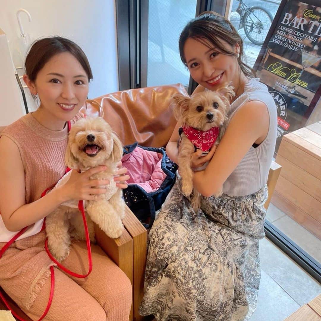 黒澤ゆりかのインスタグラム：「少し前ですが @streamer_akasaka で ワンちゃん会🐶🐾  お友達のこはだが1日店長ということで応援しに行ってきたよ☺️  ティコちゃんは色々な人に会えて嬉しくて、犬見知りはまだちょっと😂笑  はじめましてよりはだいぶ慣れたかな😂笑  夏だし室内に入れるカフェってありがたい💓  #犬のいる暮らし」