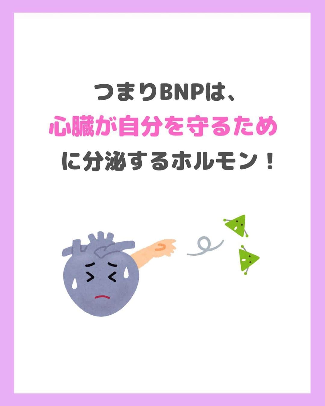 看護師ナスさんのインスタグラム写真 - (看護師ナスInstagram)「どうも！看護師ナスです🍆  知っておきたい検査値シリーズ✨ 今回は「BNP」をまとめてみました。 知っておいて損なしです♩  ———————————————————————— ▼看護師あるあるのオープンチャット立ち上げました🌿 @nursenasunasu  #看護師ナス #看護師と繋がりたい #看護師あるある #看護師 #ナース #看護師辞めたい #看護師やめたい #新人ナース #看護師転職 #看護師勉強垢 #看護 #看護師の休日  #看護師ママ #看護師の卵 #看護学生と繋がりたい #看護学生 #看護実習  #看護学生  #看護学生の勉強垢  #心臓 #検査値 #BNP #脳性ナトリウム利尿ペプチド」7月28日 18時19分 - nursenasunasu