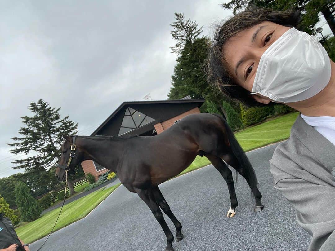 こいでのインスタグラム：「#種牡馬 #超スターホース #正解はうまんちゅで #こいちゃんパラダイスでも話します」