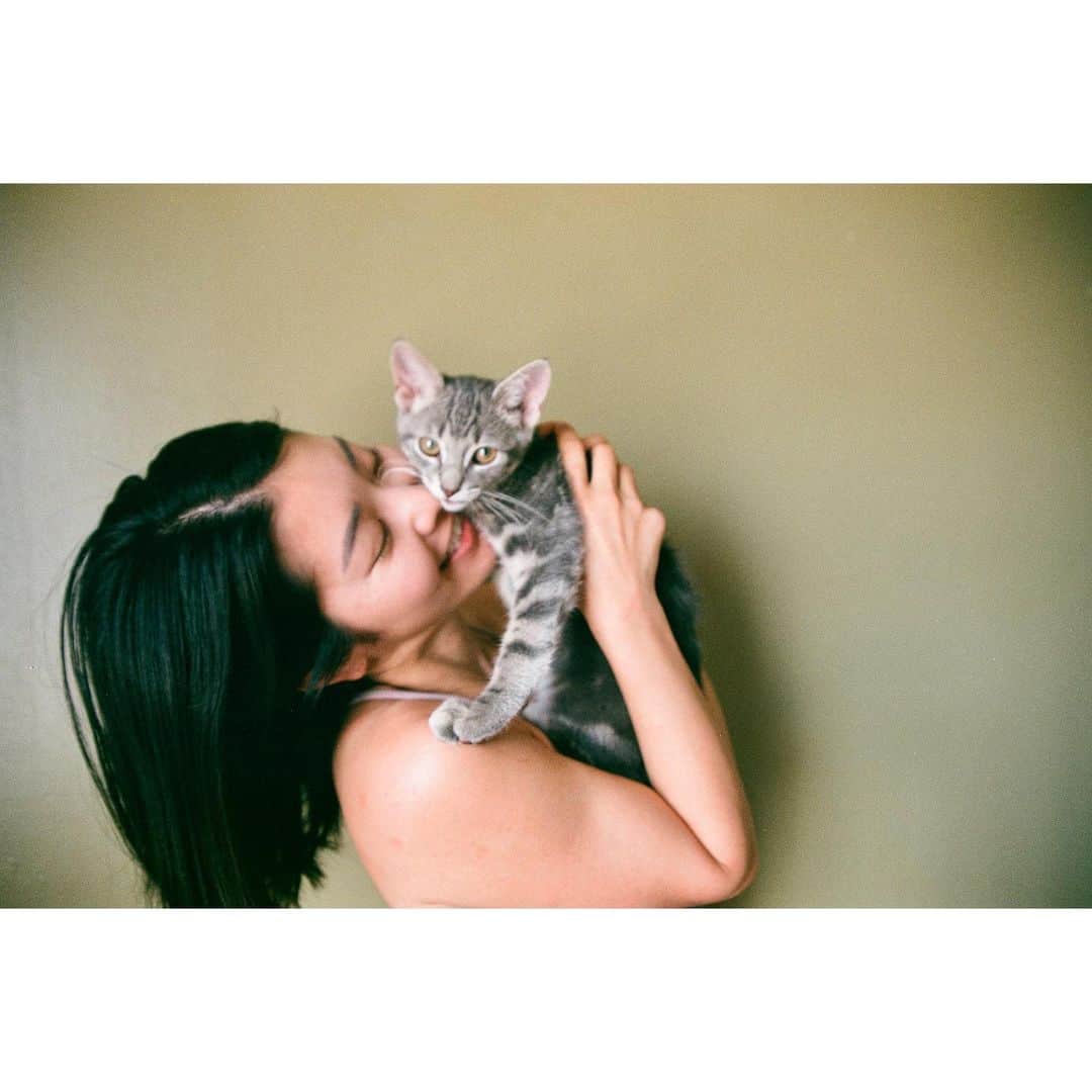 のインスタグラム：「Thanks for letting me be your foster mom! I found a street kitten a while ago. I named him Haku( from “spirited away”), so then he can leave me when he recalls his real name. Thankfully I was able to find a lovely family for his forever home, and now I miss him so much 🥹❤️  しばらく捨て猫くんを預かっていました。付けた名前は、千と千尋の神隠しよりハクくん。やっと見つかった素敵な家族の家に行ってから本当の名前を思い出した様です。でも私はちょっと寂しいです😂😭たくさん愛して、愛してもらってね♡ . #fostermom #kitten #filmcamera」