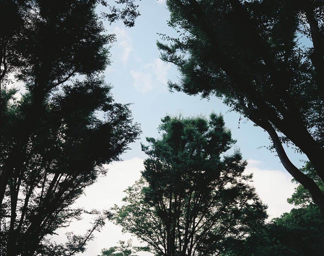 草彅剛さんのインスタグラム写真 - (草彅剛Instagram)「夏です。慎吾ちんに同じ感じ？ って言われましたが。 あえてです。緑すきです。 #マキナ67 #フィルムカメラ」7月29日 12時42分 - tsuyoshikusanagi_official
