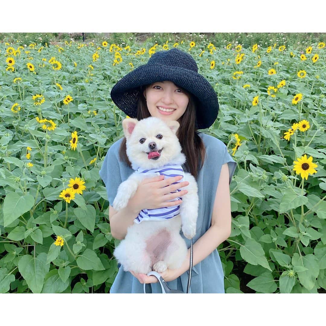 逢沢りなのインスタグラム：「昨日、31歳になりました。 1年間あっという間ですね…‼︎ 30歳のうちにグラビアをまたやらせていただいたことは私にとってとても良い経験になりました。  そしてドラマ「強行犯係樋口顕」もOA中ですので、引き続きよろしくお願い致します😊  皆さんのコメントにいつも元気をいただいています🌻 ありがとうございます💗  今年も犬ちゃんと平和に過ごしていきます🐶🤍笑」