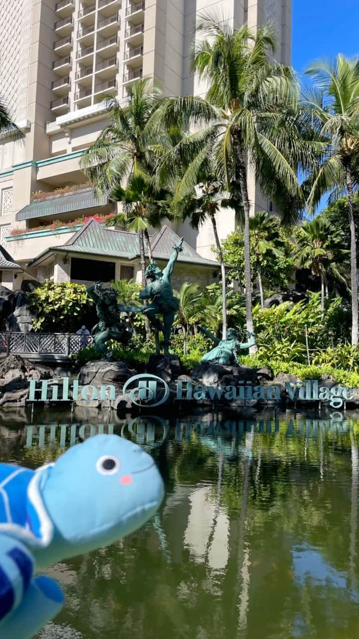 ANAのインスタグラム：「ラニの夏休み🐢🌺   #allnipponairways #フライングホヌ #ホヌ #HONU #flyinghonu #エアバス #A380 #飛行機 #airplane #ハワイ #hawaii #夏休み #夏 #花火 #fireworks #hilton #hawaiian #village #hiltonhawaiianvillage #ヒルトン #ヒルトンハワイアンビレッジ」