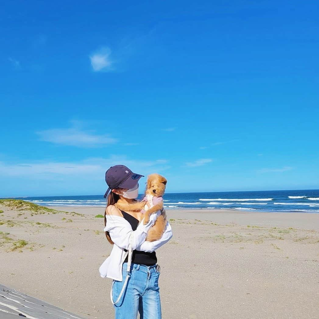 小嶋菜月さんのインスタグラム写真 - (小嶋菜月Instagram)「🏖🌺🍺🍉🌈🐠🐶 . . #気付いたら #７月 #だったのに #気付いたら #もうすぐ #８月  #早すぎる #わんこ #風で #顔やばすぎ #ぶすかわ #愛おしい #🐶 #🐶❤️」7月29日 22時48分 - kojimanatsuki_offical