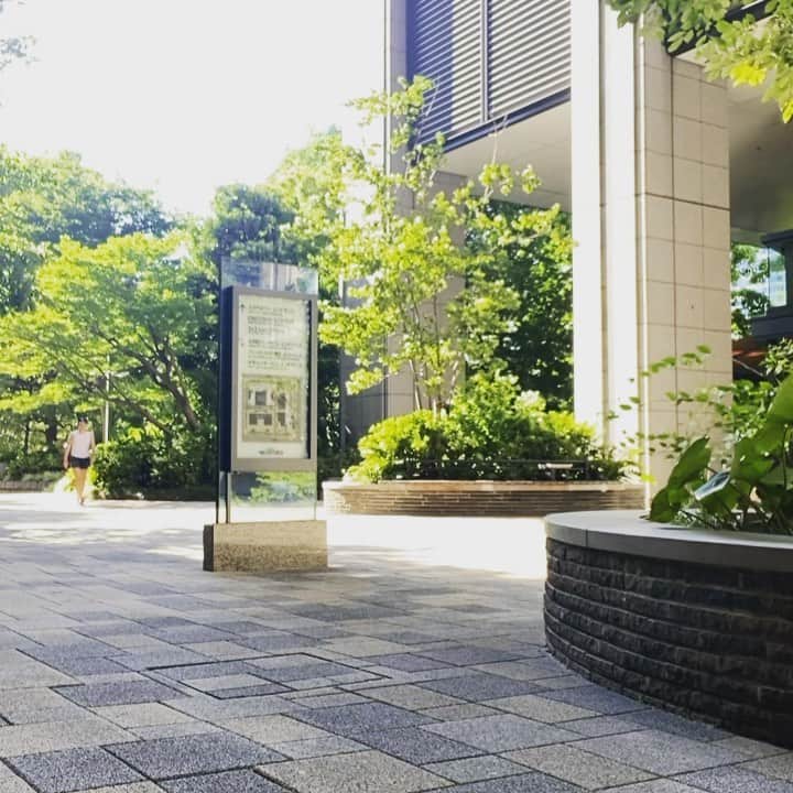 のインスタグラム：「トレーニングの日 @R-body_ official トレーニング後の皇居ラン1周 終わった後はふらふら。  #伊達公子 #kimikodate  #テニス  #テニスプレイヤー #tennis  #tennisplayer #2022年7月29日 #2022 #2022年 #トレーニング #training #ワークアウト #workout #rbody #皇居ラン #皇居ラン1周 #5km #running #トレーニング後のラン #大手町 #プーマ #puma #pumajapan #プーマグラム #pumajapan」