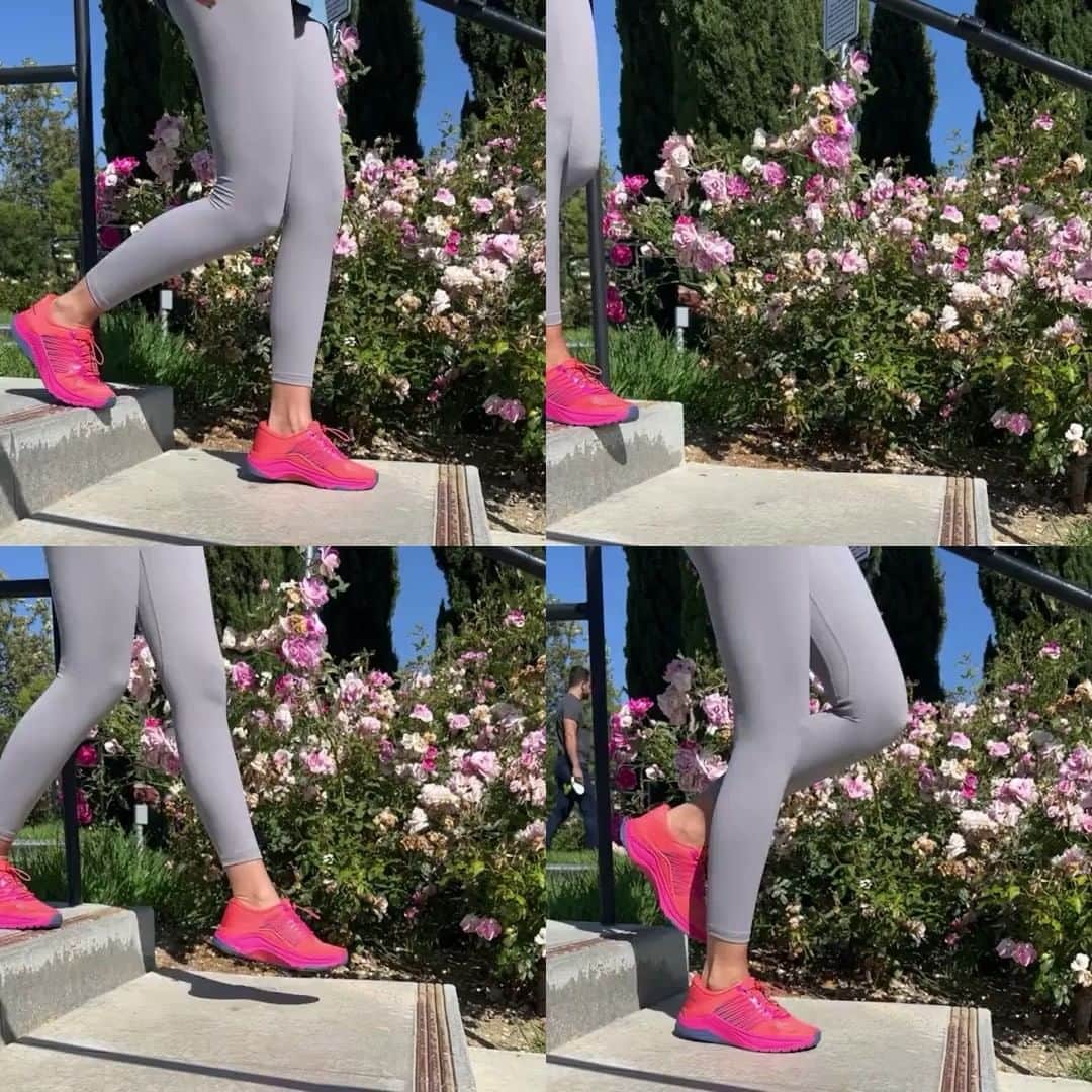 ダンスコのインスタグラム：「Where are your walks taking you?」