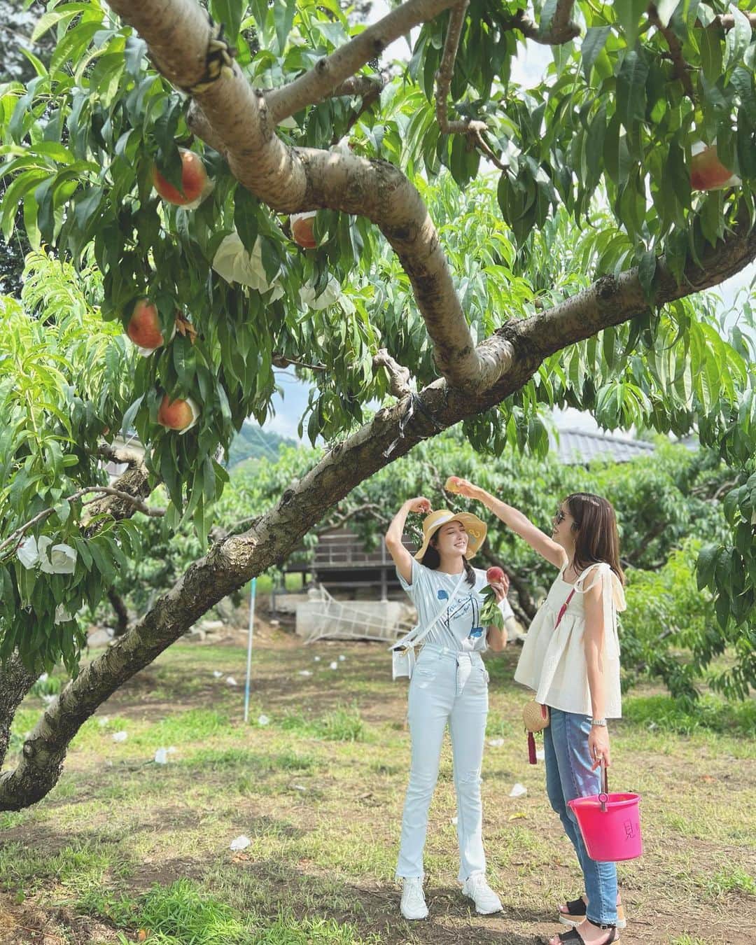大石絵理のインスタグラム：「the day for peaches 🍑🍑🍑」